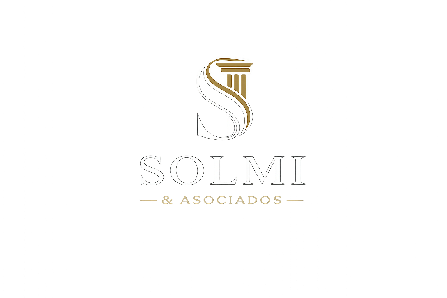 Solmi & Asociados